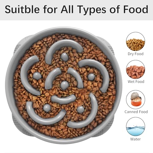 1 Pack Slow Feeder Dog Bowls (I-Gray / Large)
