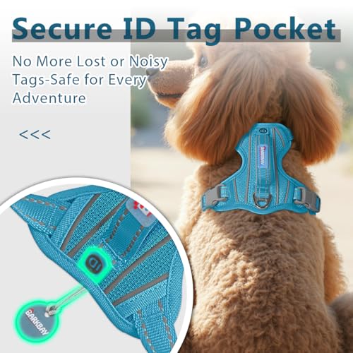 No Pull Dog Harness for Small Sized Dogs (Small(Chest:19.5-26”) / Ocean Blue)