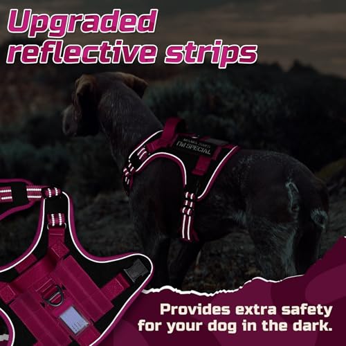 Tactical Dog Harness for Small (Black & Rose Red / Small)