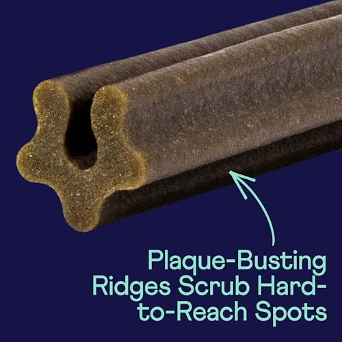 Plaque Patrol Dental Chews (10 Ounce (Pack of 1))