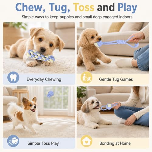 Dog Rope Toys for Puppies & Small Dogs (Blue)