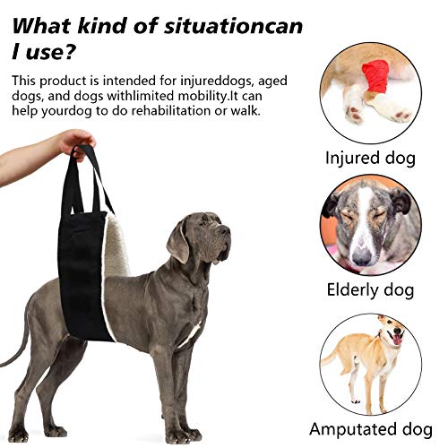 20 150lb Dog Sling for Large Dogs Hind Leg Support (Black)