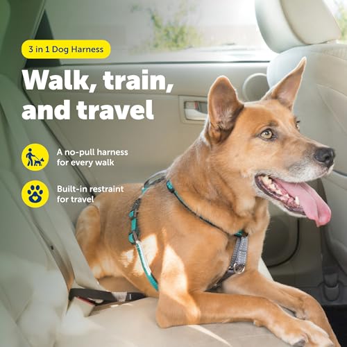 3 in 1 No Pull Dog Harness (Teal / Medium (Pack of 1))