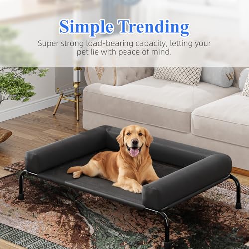 Elevated Dog Bed for Large Dogs with Bolsters (Black / 47.75"L x 31"W x 8"H)
