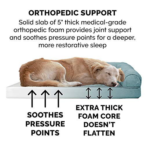 Orthopedic Dog Bed for Large Dogs w (Jumbo Plus / Deep Pool)