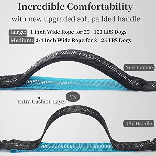 Hands Free Dog Leash with Zipper Pouch (Black / Large)