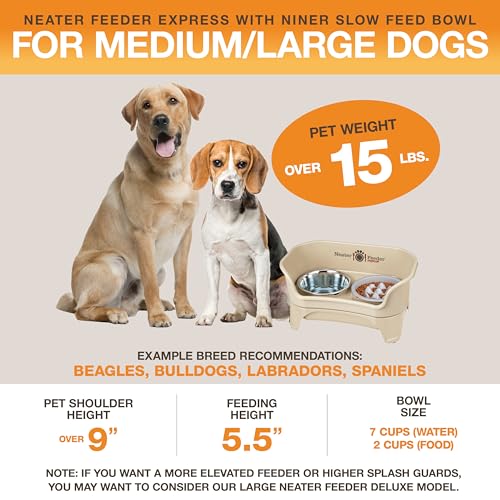 Express Mess Proof Dog Bowls Elevated for Medium and Large Breed (Medium to Large w/ 9 Peak Slow Feed Bowl / Almond)