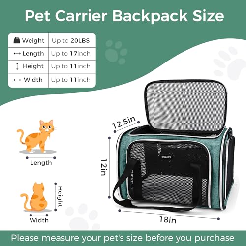 Pet Travel Carrier (Green / 17.0"L x 11.0"W x 12.0"H)