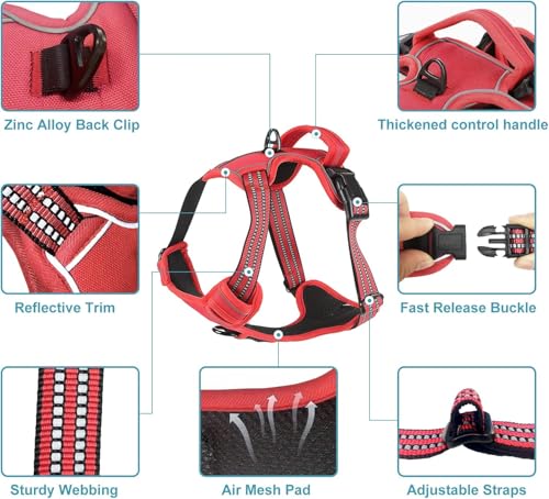 No Pull Dog Harness for Large Dog with Leash (Red / XL)