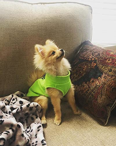 Fleece Vest Dog Sweater (Lime / X-Small (Around 4-lb))