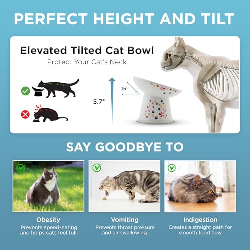 Necoichi Raised Cat Food Bowl (Sakura / Large Extra Wide Tilted)