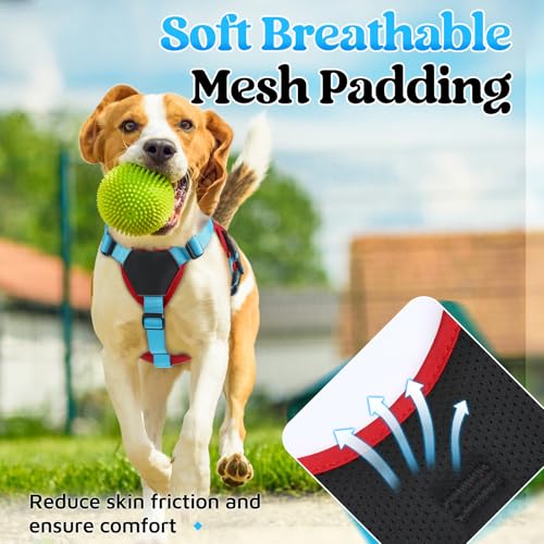 Escape Proof Dog Harness for Small (Sky Blue & Red / Small)