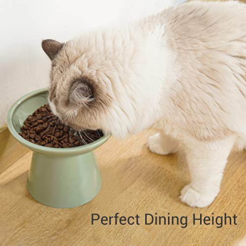 2 Pack Extra Wide Elevated Ceramic 6.2" Shallow Cat Food Bowls (Sage Green-2 Food Bowl)