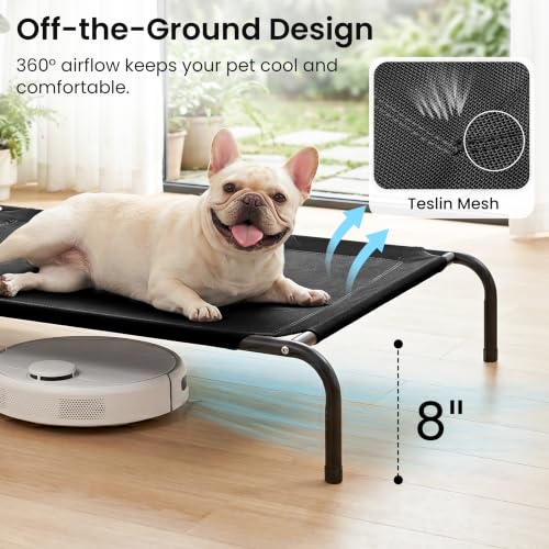 Elevated Cooling Dog Bed for Medium Dogs (Black / 43" X 31.5" X 8")
