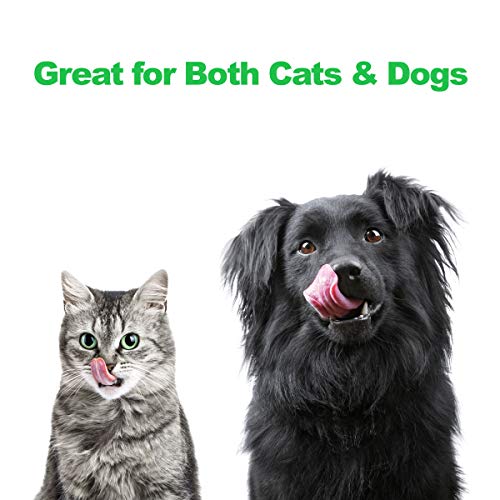 Set of 2 Stainless Steel Dog Bowls (6.5" Height)