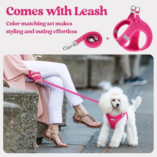 Dog Harness Medium Sized and Leash Set (Rose Red / M (chest: 16 - 18.5"))