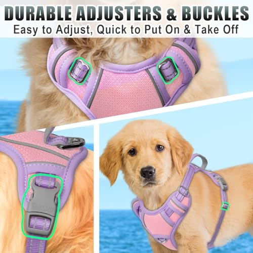 Dog Harness for Small Sized Dog No Pull Dog Vest ID Tag Pocket (Baby Pink & Violet Purple / X-Small)