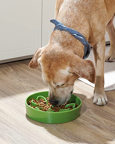 Slow Feeder Dog Bowls Ceramic (Clover Green / L-3 Cups)