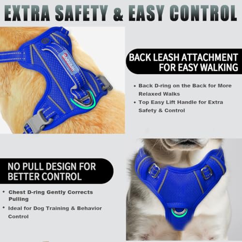Dog Harness for Small Sized Dog No Pull Dog Vest ID Tag Pocket (Sapphire Blue / Small)