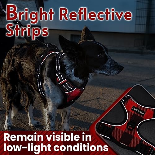 Dog Harness No Pull Medium Sized with 2 Leash Clips (Medium / Red Plaid)