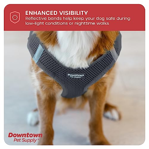 Step in Dog Harness (Large / Charcoal)