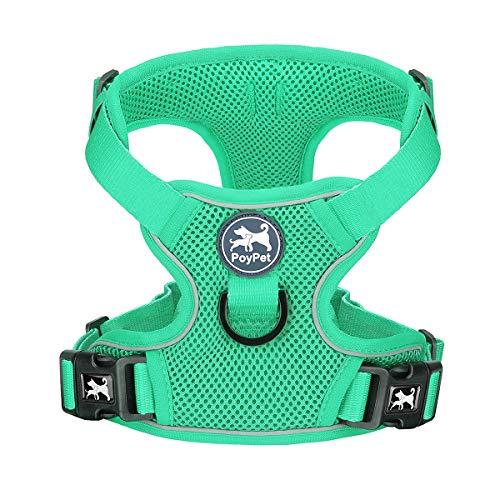 Mesh Dog Harness (M / Mint Green)