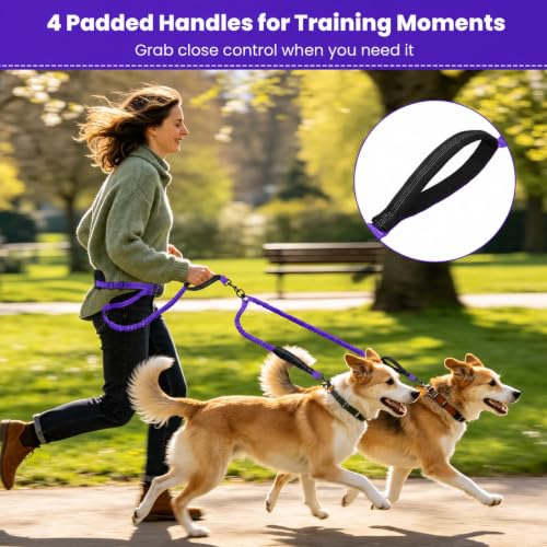 Hands Free Double Dog Leash (Purple)