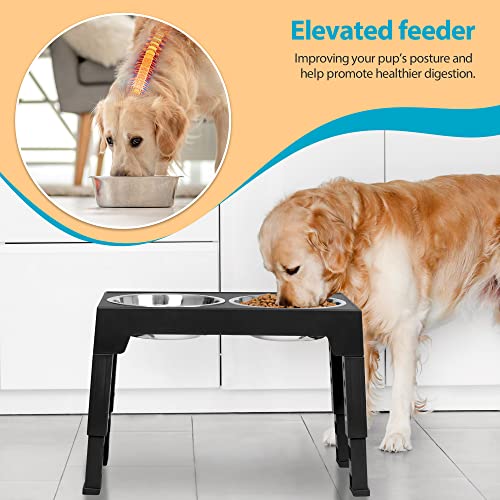 Elevated Dog Bowls with 2 Stainless Steel Dog Food Bowls (Black)