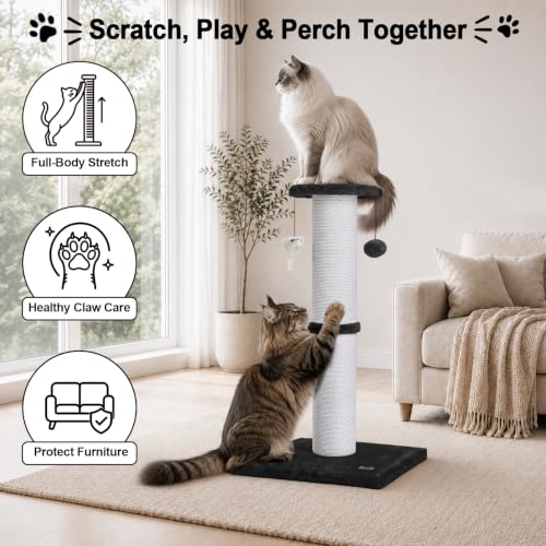 34 Inch Tall Cat Scratching Post for Large Cats (Black)