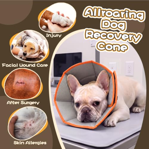 Adjustable Dog Cone for Spay (Orange / XL(Neck Girth:16.54"-21.65"))