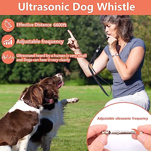 Dog Training Kit (Black)