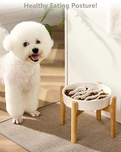 Ceramic Slow Feeder Dog Bowls Elevated (White + Stand / 8 Inches)