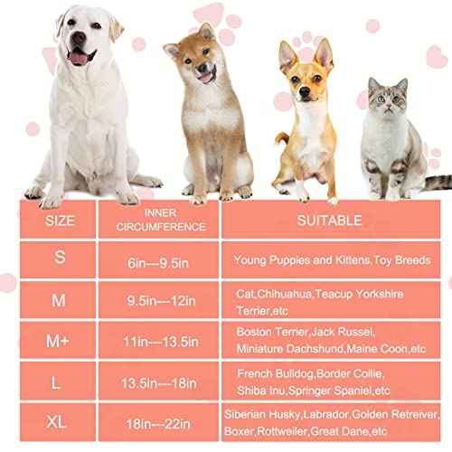 Inflatable Dog Cone Collar with Enhanced Anti (Medium / Watermelon)