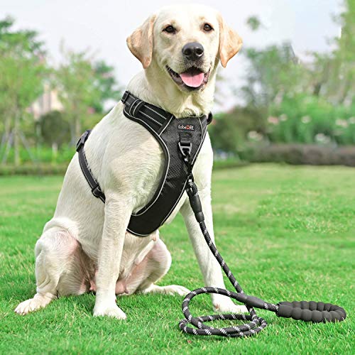 No Pull Dog Harness Adjustable Reflective Oxford Easy Control Medium Large Dog Harness with A Free Heavy Duty 5ft Dog Leash (Black/Red / Large)