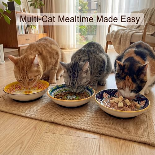 Ceramic Cat Food Bowls 6 Pack (Floral - Pads Attached)