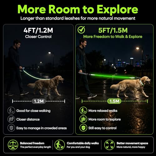 5 Ft LED Dog Leash (5 Ft)