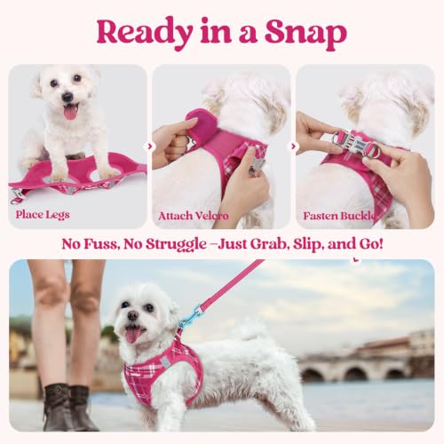 Dog Harness Small Sized and Leash Set (Rose Red Plaid / Xxs (chest: 12.4 - 14.2"))