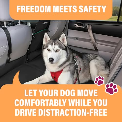 Black Car Seat Belt for Dogs 2 Pack (Black - 2 Pack)
