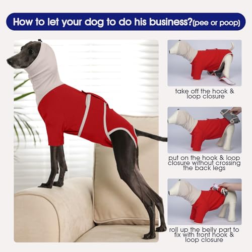 Spay Suit for Female Dog (Small / New Version- Red)