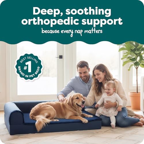 Orthopedic Dog Bed for Large Dogs w (Jumbo / Deep Sapphire)