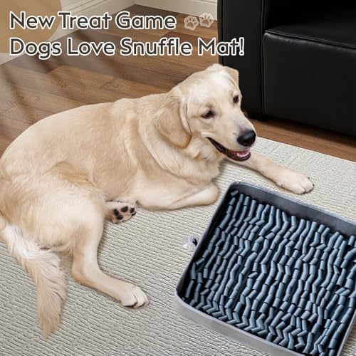 Snuffle Mat for Dogs (Silver / 17" X 15")