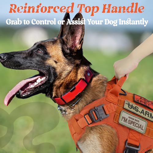 Tactical Dog Harness for Large (Orange / X-Large)