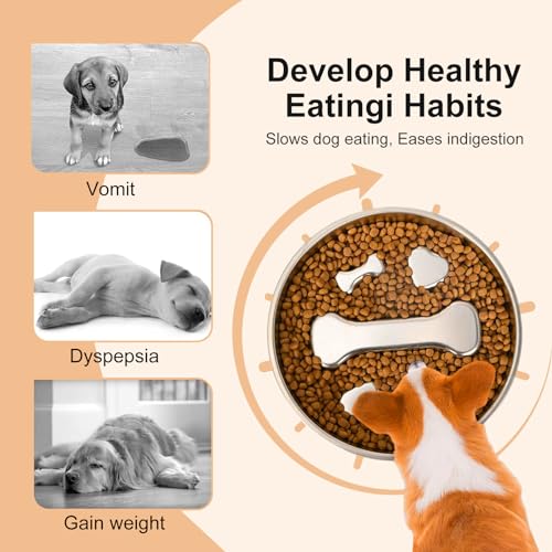 Stainless Steel Slow Feeder Dog Bowls with Pet Feeding Mat