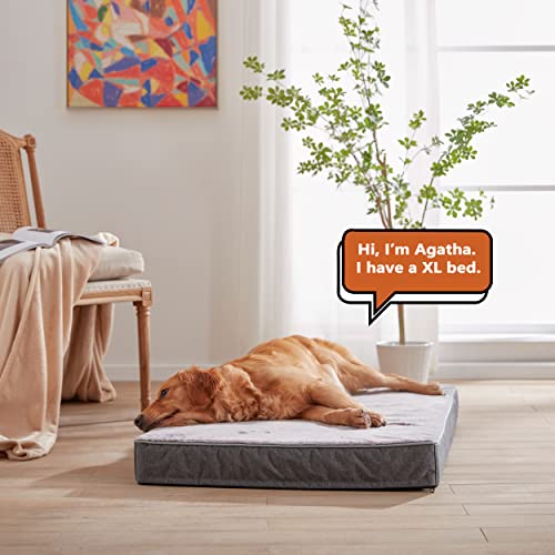 Cooling Dog Beds for Large Dogs (Purple Grey / Large-35"x 22" x 3")