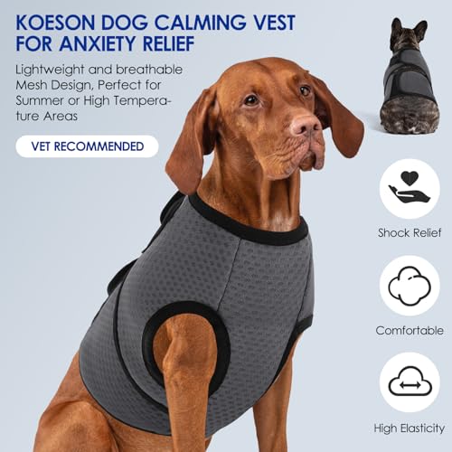 Dog Anxiety Calming Vest (Grey / X-Large)