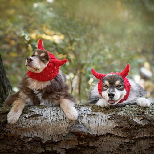 Red Devil Dog Costume (Devil / Medium)