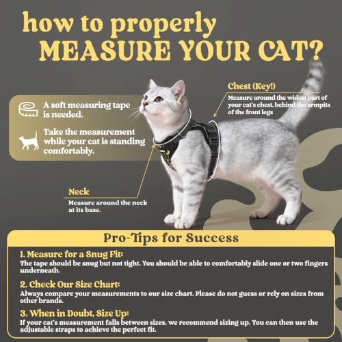 Cat Harness and Leash Set (Xxs / Lunar Prowl)