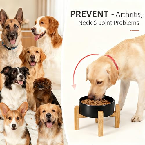 Elevated Raised Ceramic Dog Bowl with Bamboo Stand (Black / Large)