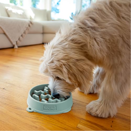 Fun Feeder Slo Bowl Dog Slow Feeder (Sage / Medium)