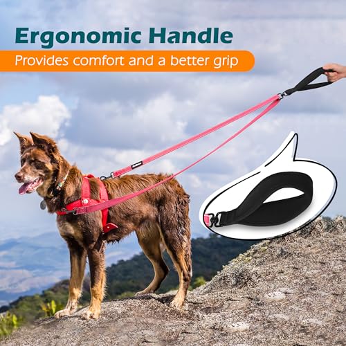 Two Point Control Dog Leash (Pink)